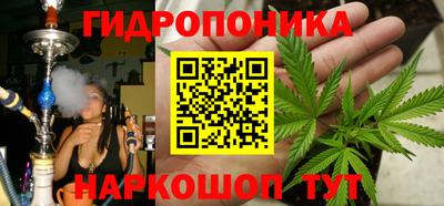 шишки Сланцы