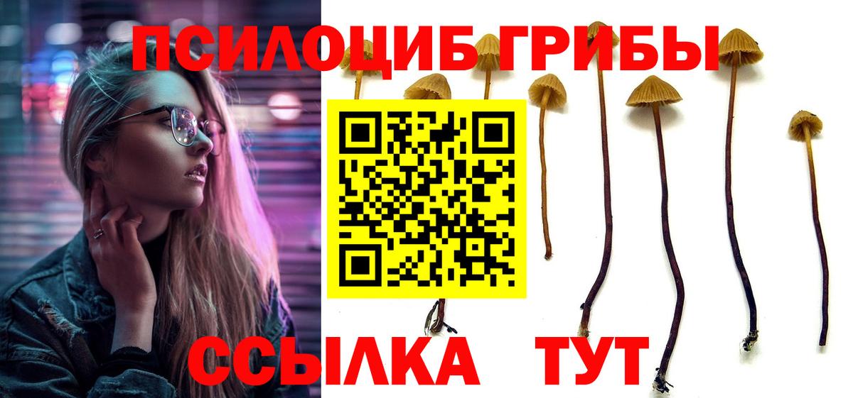 Галлюциногенные грибы Magic Shrooms  Галлюциногенные грибы GOLDEN TEACHER  где найти наркотики  Мариинск  Вход с VPN 